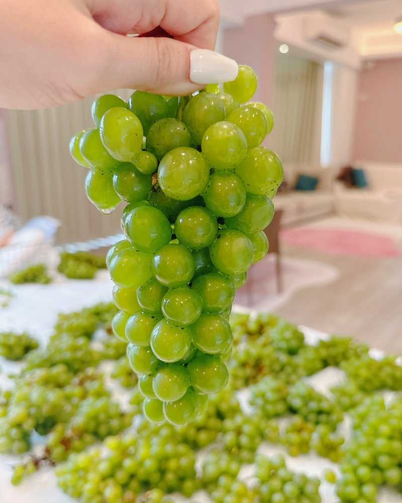 我變金香葡萄富翁了！！