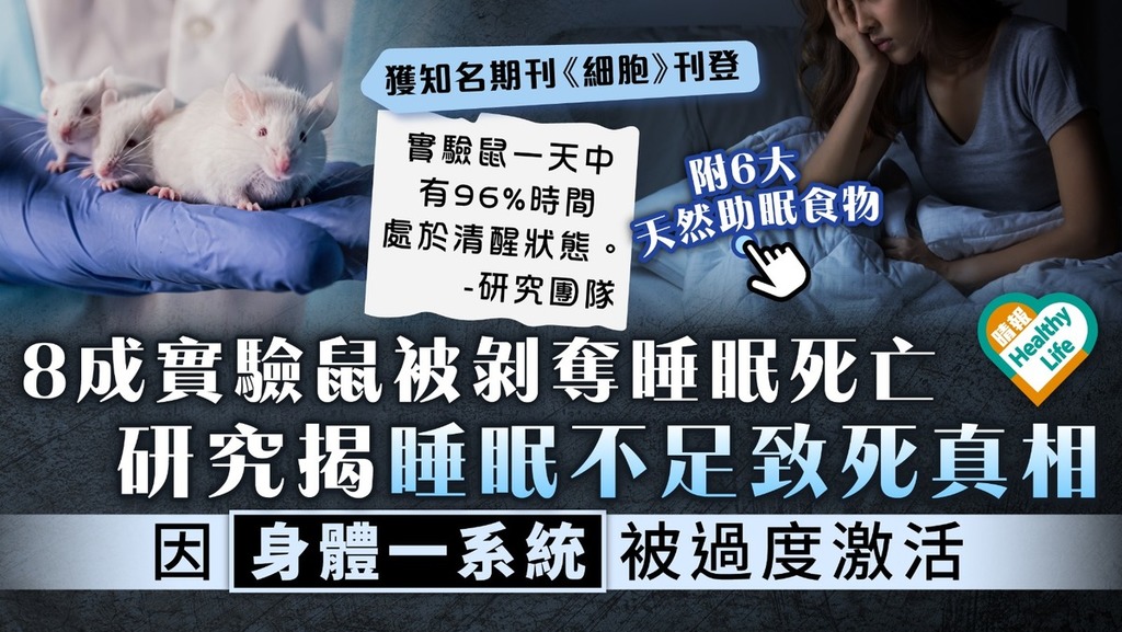 失眠致死｜8成實驗鼠被剝奪睡眠死亡 研究揭睡眠不足致死真相 因身體一系統被過度激活〖晴報