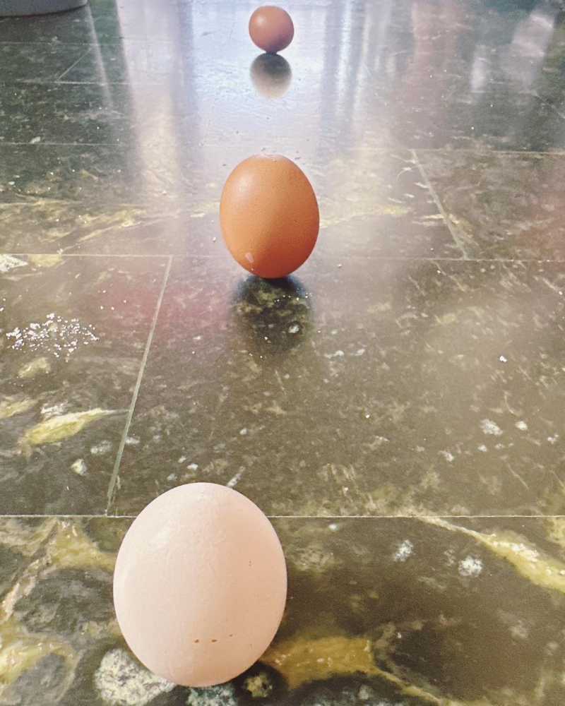 端午節快樂！立蛋成功分享給大家